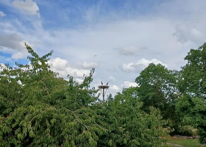 Storchennest-kraatz *